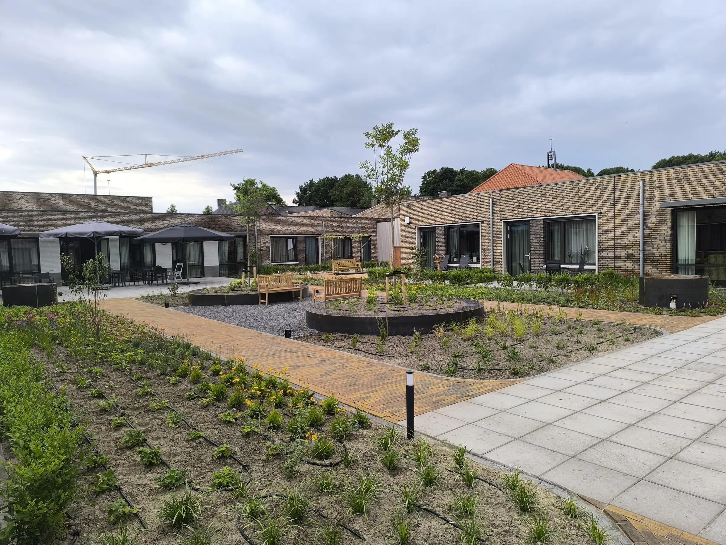 Pas aangelegde binnentuin met ronde plantenbakken, houten banken, paden van gele klinkers en borders met druppelslangen