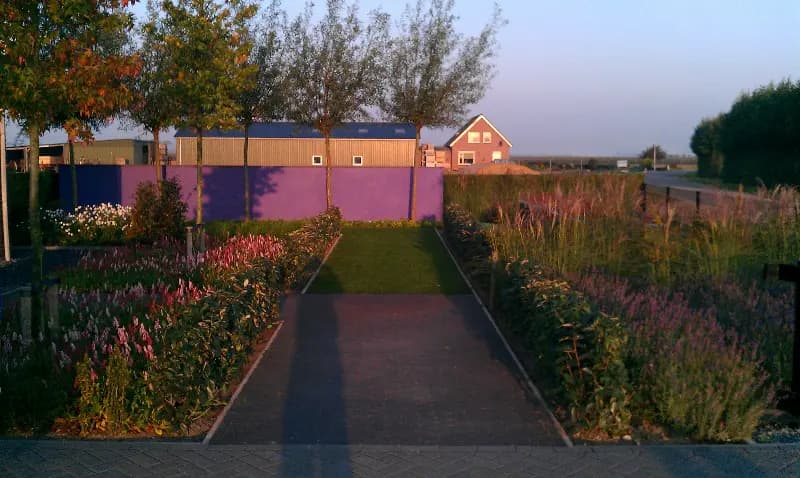 Showtuin bij avond met een graspad tussen brede borders met siergrassen en bloeiende vaste planten